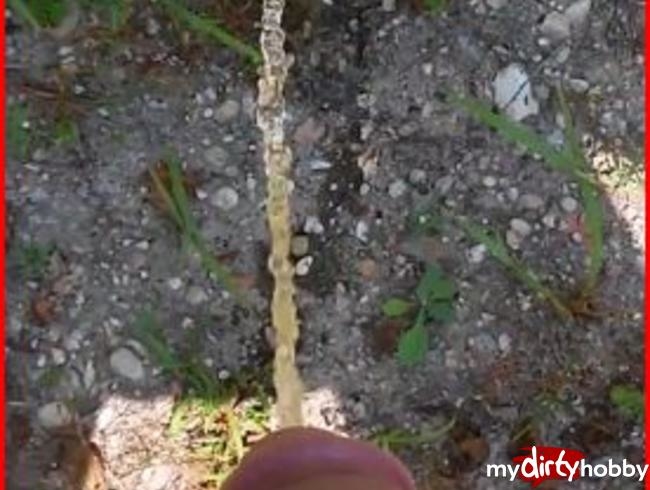 In den Wald