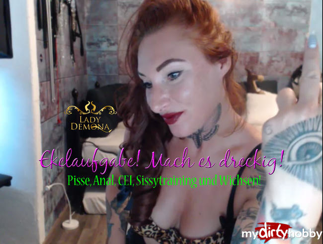Ekelaufgabe,Pisse, Anal, CEI, Sissytraining und Wichsen! | by Lady_Demona