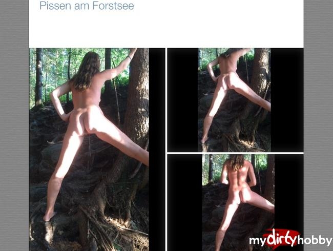 Pissen am Forstsee