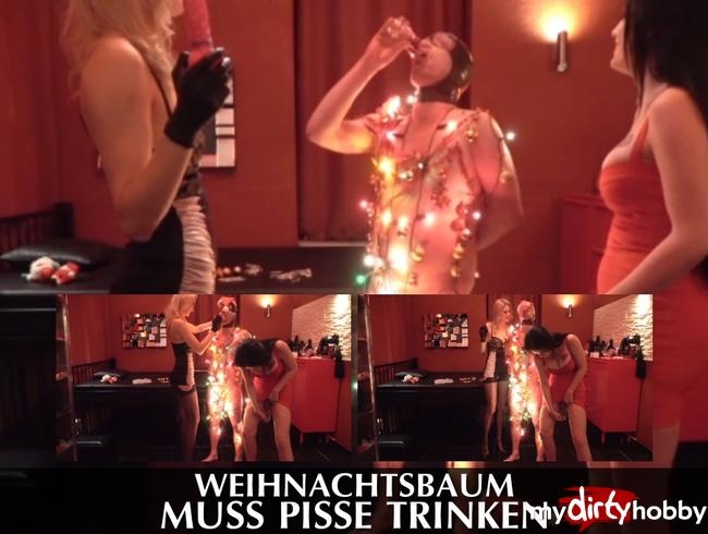 Weihnachtsbaum muss Pisse trinken